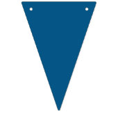 アドベンチャーアワイ男の赤ちゃん国旗パーティーバナー バンティングフラッグ (第3の旗)