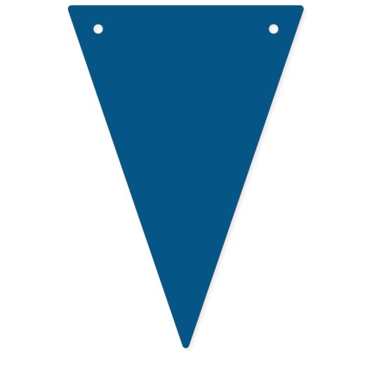 アドベンチャーアワイ男の赤ちゃん国旗パーティーバナー バンティングフラッグ (第3の旗)