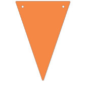 アドベンチャーアワイ男の赤ちゃん国旗パーティーバナー バンティングフラッグ (第2の旗)