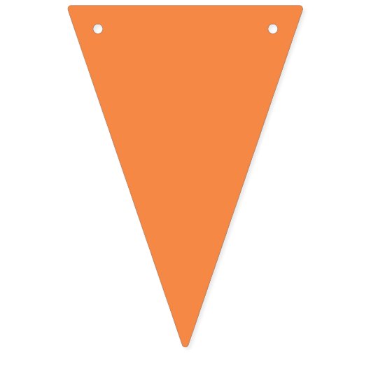 アドベンチャーアワイ男の赤ちゃん国旗パーティーバナー バンティングフラッグ (第2の旗)