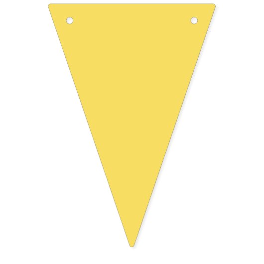 アドベンチャーアワイ男の赤ちゃん国旗パーティーバナー バンティングフラッグ (第1の旗)