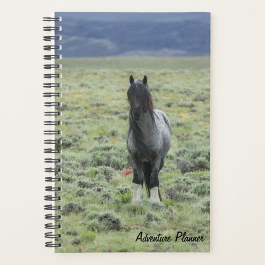 アドベンチャープランナー（ブルーゼウス付） プランナー手帳 (正面)