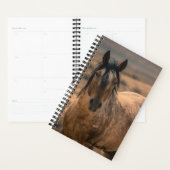 アドベンチャープランナーw/サー・ベアー プランナー手帳 (ディスプレー)