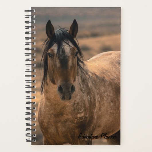 アドベンチャープランナーw/サー・ベアー プランナー手帳 (正面)