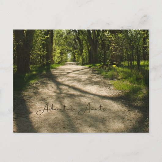 アドベンチャー待ち葉書 ポストカード (正面)