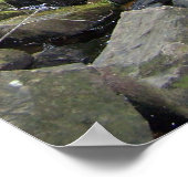 アドラー秋 ポスター (角)