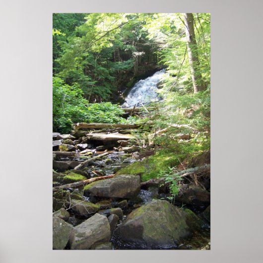 アドラー秋 ポスター (正面)