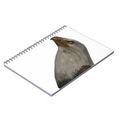 アドラー ノートブック (左側)