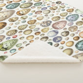 アドルフィミロウエッグス シェルパブランケット (3/4)