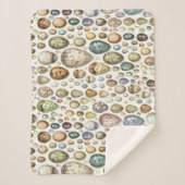 アドルフィミロウエッグス シェルパブランケット (正面)