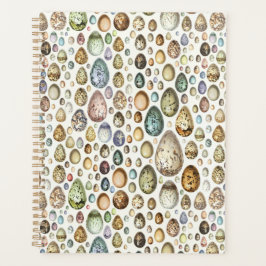 アドルフィミロウエッグス プランナー手帳