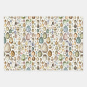 アドルフィミロウエッグス ラッピングペーパーシート (正面3)