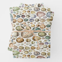 アドルフィミロウエッグス