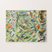 アドルフィミロバードA ジグソーパズル (横)