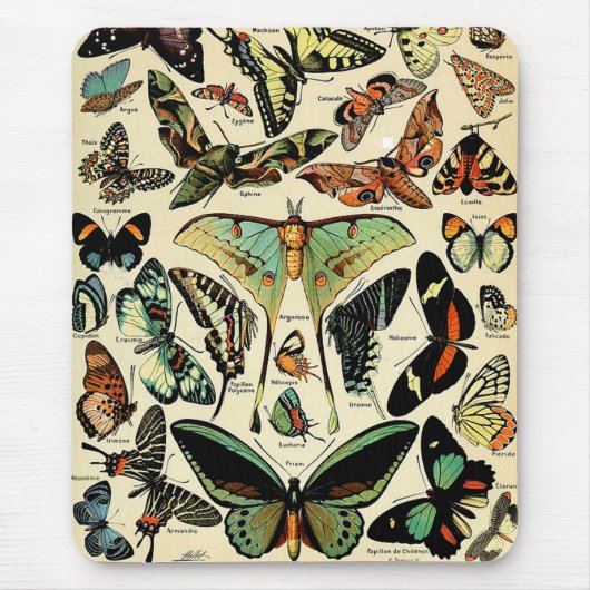 アドルフィミロパピヨンマウスパッド マウスパッド (正面)