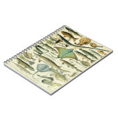 アドルフィミロフィッシュパターンA ノートブック (左側)