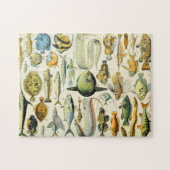 アドルフィミロフィッシュA ジグソーパズル (横)