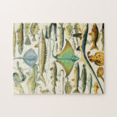 アドルフィミロフィッシュB ジグソーパズル (横)