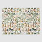 アドルフィミロフルーツパターン 薄葉紙 (正面)