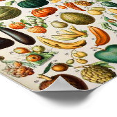 アドルフィミロフルーツB ポスター (角)