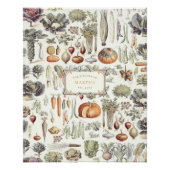 アドルフィミロレグムスエプランテポタゲールポスター ポスター (正面)