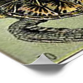 アドルフィミロレプティレス ポスター (角)