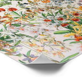 アドルフィミロ花D ポスター (角)