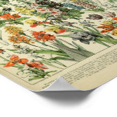 アドルフェフィリップミロフルーア ポスター (角)