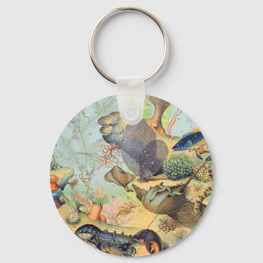 アドルフェミロ海B キーホルダー (正面)