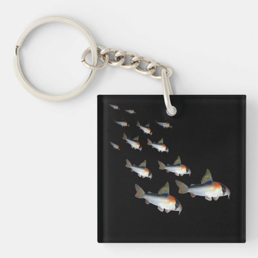 アドルフォイコリドーラスナマズ水族館魚タンクアート キーホルダー (正面)