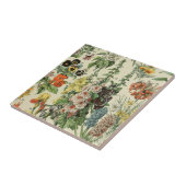 アドルフミロボタニカルイラストレーション タイル (側面)