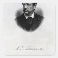アドルフ・エリック・ノルトエンスキオールド， 1880
