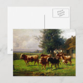 アドルフ・チェリウス・カウヘルド・アット・ダハウ ポストカード (正面/裏面)