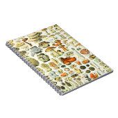 アドルフ・ミロキノコ ノートブック (右側)