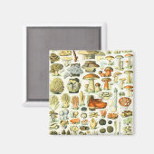 アドルフ・ミロキノコ マグネット (正面/裏面)