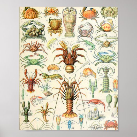 アドルフ・ミロ・クルーステス ポスター (正面)