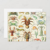 アドルフ・ミロ・クルーステス ポストカード (正面/裏面)