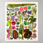 アドルフ・ミロ～海藻 ポスター (正面)