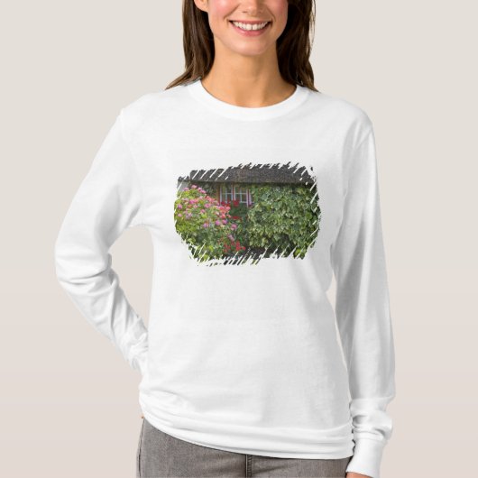アドレアの茅葺き小屋, リメリック州, Tシャツ (正面)