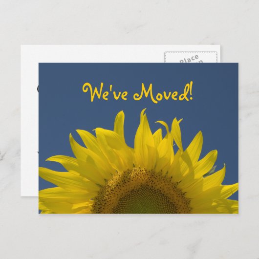 アドレスの変更の発表のひまわり 案内ポストカード (正面/裏面)