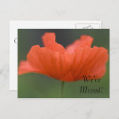 アドレスの変更（オレンジ） 案内ポストカード (正面/裏面)