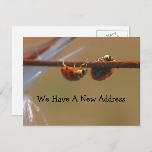 アドレスのLadybugs変更のバランス 案内ポストカード (正面/裏面)