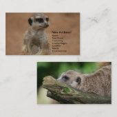アドレス変更カード- Meerkats 名刺 (正面/裏面)