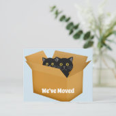 アドレス変更猫の郵便はがき 案内ポストカード (スタンド正面)