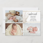 アドレッド4フォトボホパンパスグラス誕生 案内状 (正面)