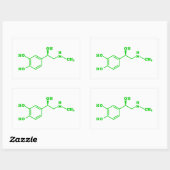 アドレナリン分子化学式 長方形シール (シート)