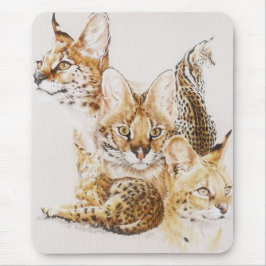 アドロイト マウスパッド