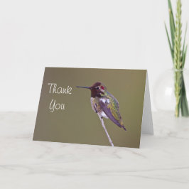 アナのハチドリは感謝していしています サンキューカード
