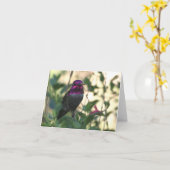 アナのハチドリ-ジョーSweeney -カード カード (黄色い花)