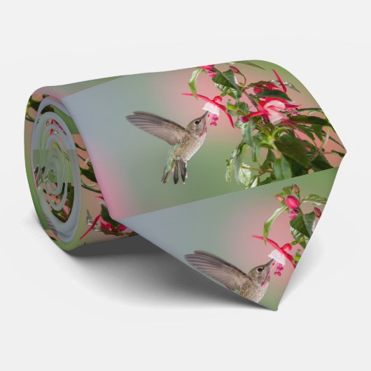 アナのハチドリ ネクタイ (ロール)